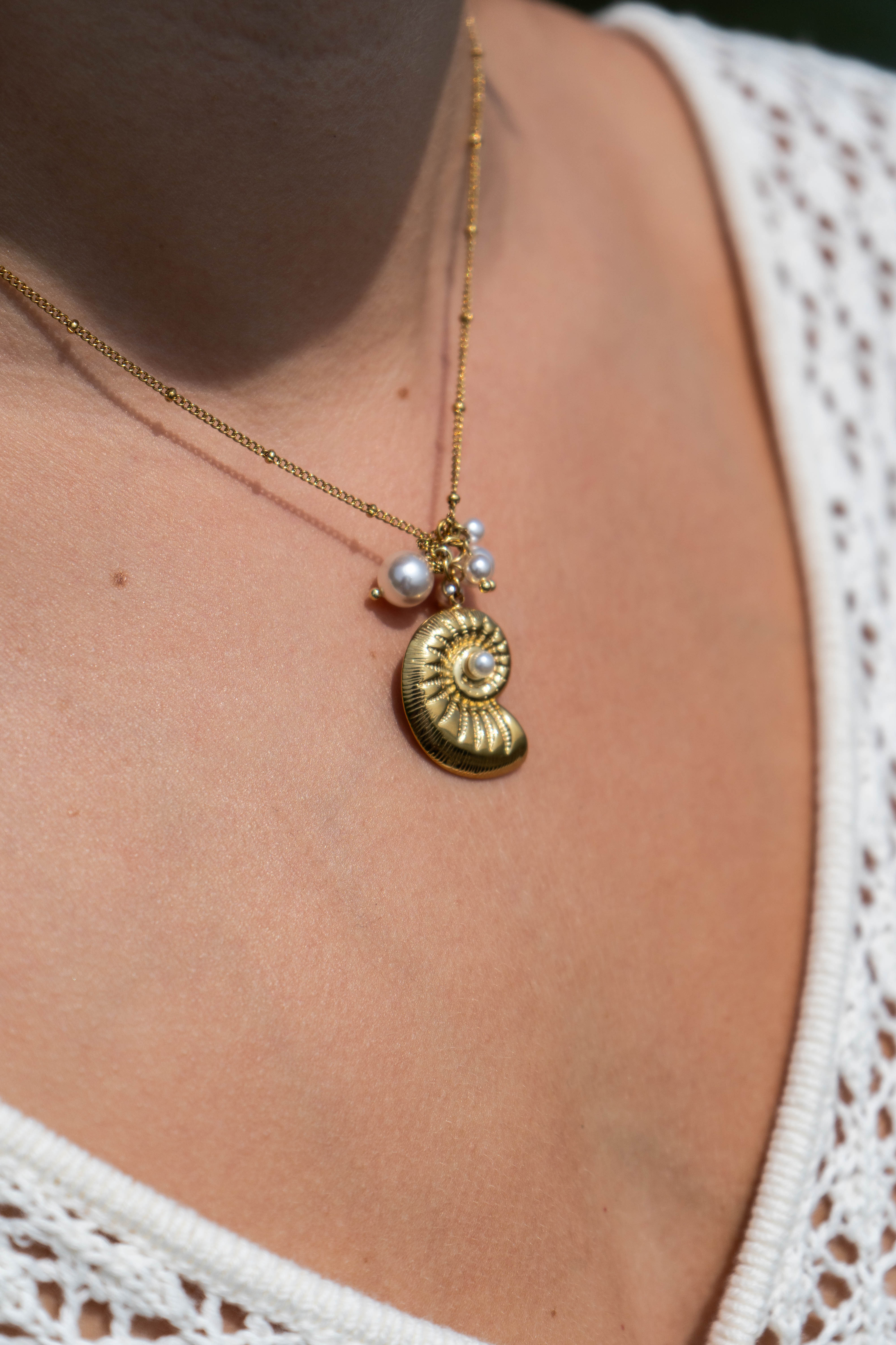COLLIER CROSTACEI